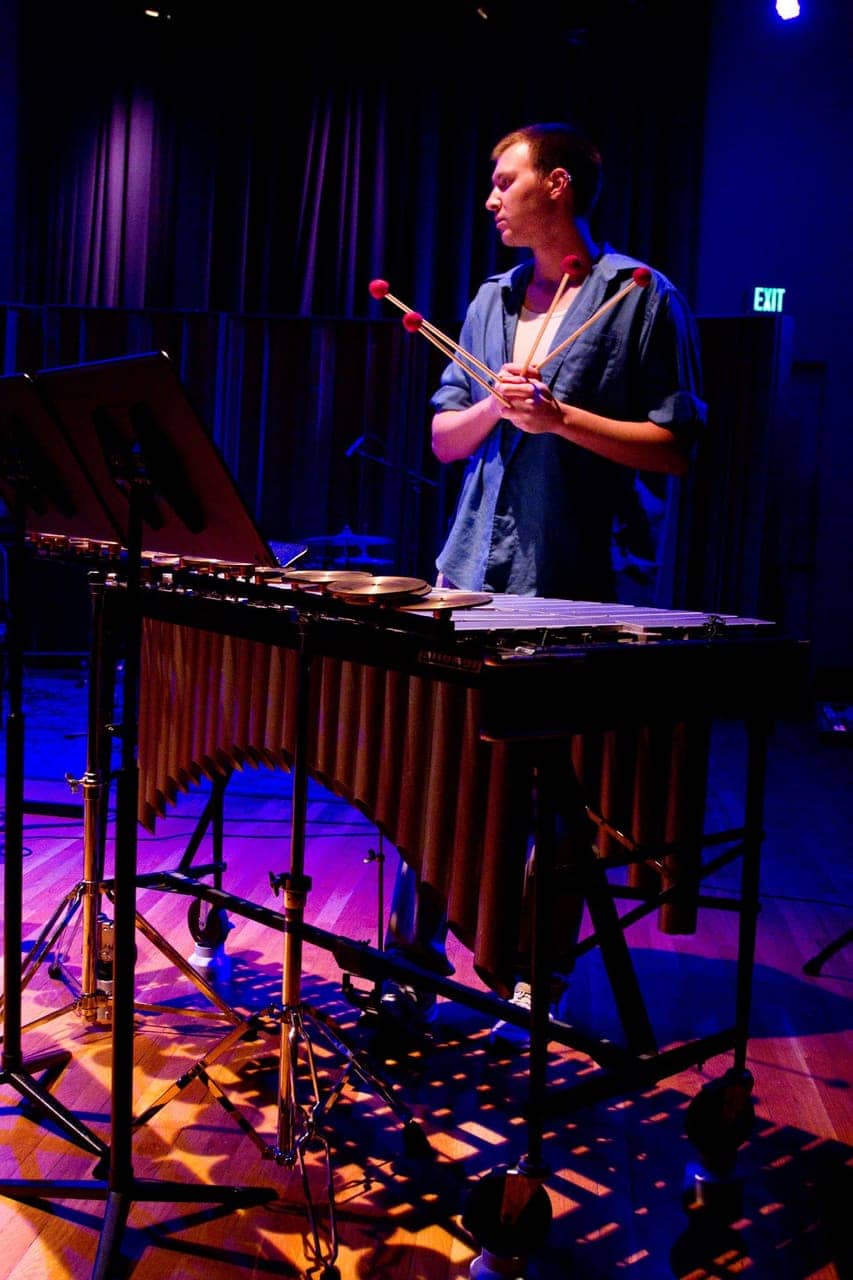 Portrait with instruments